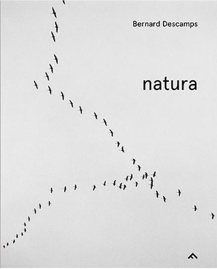 Buchcover natura