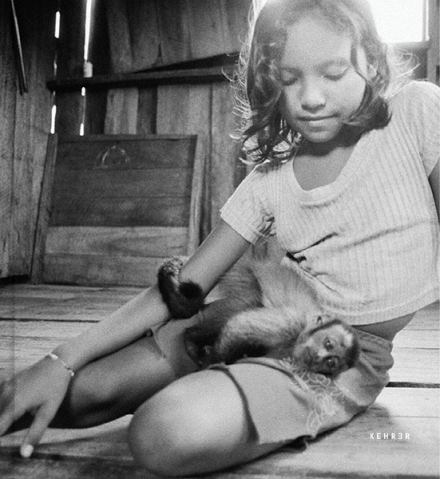 The Enchanted Ones. Stephanie Pommez. Kehrer-Verlag