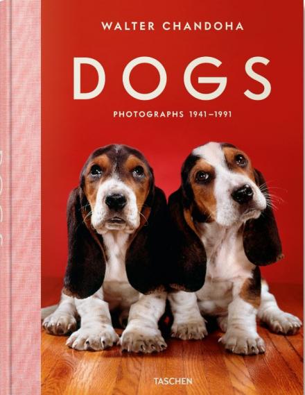 Dogs - Photographs 1941 - 1991