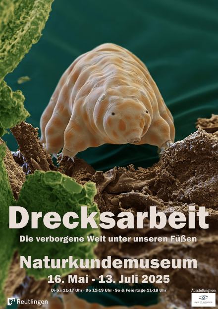 DGPh-Regionaltreffen und Ausstellungsführung: Drecksarbeit