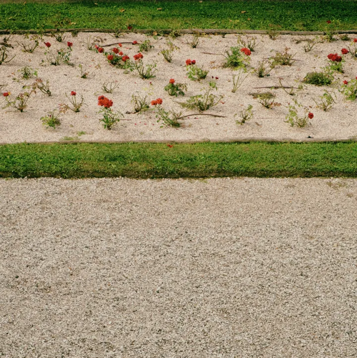 Fotografie im öffentlichen Raum: Park. © Jochen Steinmetz, Prato Capra 2024