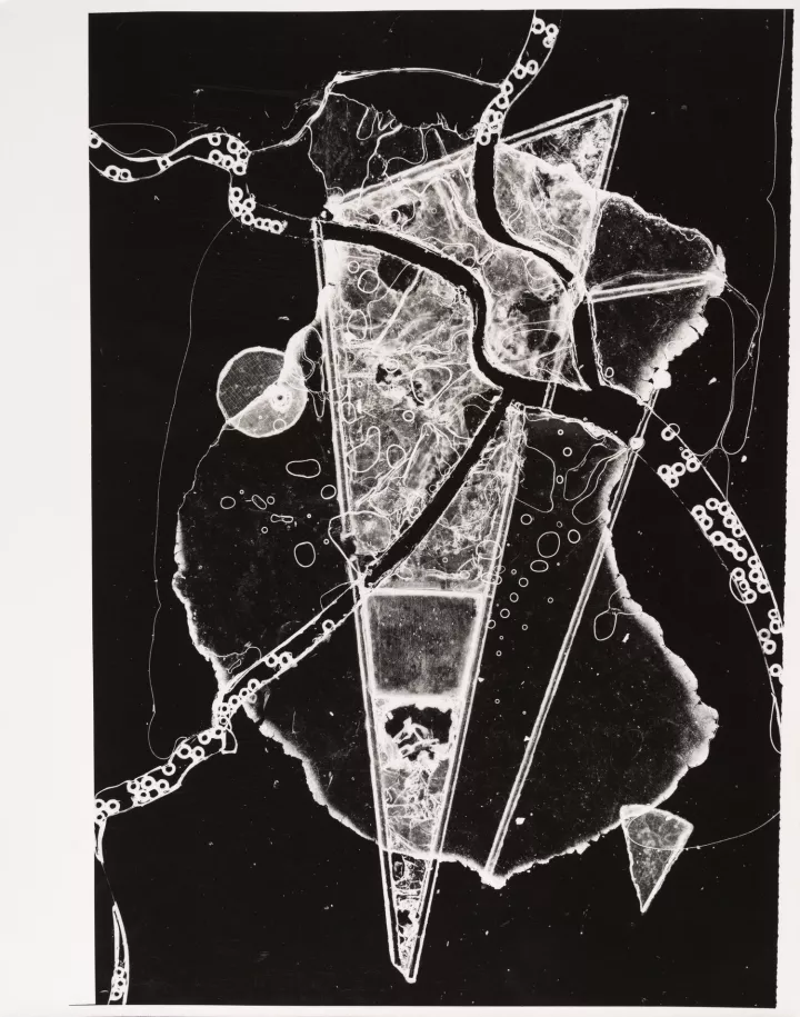 Heinz Hajek-Halke, Komposition 4/56, (1956) Light Graphic, Gelatin Silver Print © Heinz Hajek-Halke Estate, Courtesy CHAUSSEE 36 Heinz Hajek-Halke, Komposition 4/56, (1956) Light Graphic, Gelatin Silver Print © Heinz Hajek-Halke Estate, Courtesy CHAUSSEE 36