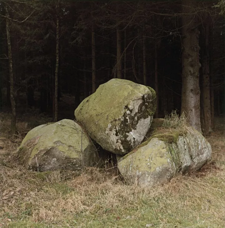 Bernhard Fuchs, o.T. (Nr.1, aus MÜHL, 2014-2019), 37.5 x 38 cm © VG Bild Kunst, Bonn. Courtesy ROBERT MORAT GALERIE, Berlin Bernhard Fuchs, o.T. (Nr.1, aus MÜHL, 2014-2019), 37.5 x 38 cm © VG Bild Kunst, Bonn. Courtesy ROBERT MORAT GALERIE, Berlin