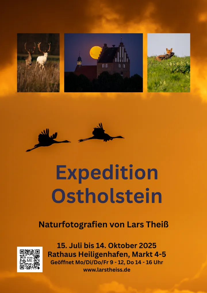 Ausstellungs-Flyer für "Expedition Ostholstein" von Lars Theiß