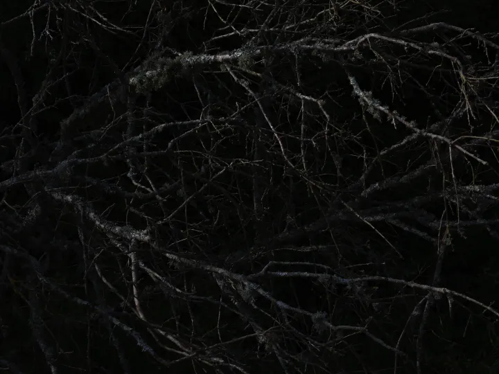 Frank Schumacher - TOUCH