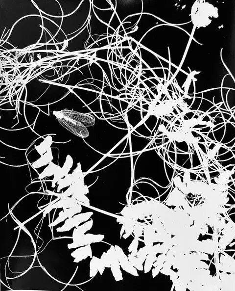 Lotte Laska: Spiegelungen, 1950er Jahre, Gelatinesilberabzug, 23,3 x 17,4 cm Lotte Laska: Spiegelungen, 1950er Jahre, Gelatinesilberabzug, 23,3 x 17,4 cm