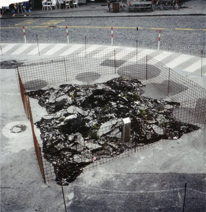 Lois Weinberger, Ruderal Einfriedung, 1993
