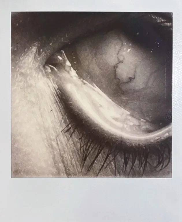 Antonia Gruber: BIPOLAROID DISORDER_2020 (Ausschnitt), 2020, aus der Serie BIPOLAR DISORDER, 2020/21, 196 Polaroids auf Alu Dibond, 140 x 175 cm Antonia Gruber: BIPOLAROID DISORDER_2020 (Ausschnitt), 2020, aus der Serie BIPOLAR DISORDER, 2020/21, 196 Polaroids auf Alu Dibond, 140 x 175 cm