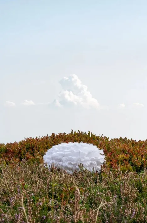 Ute Behrend: Back to Nature, 2023, Fotografie © Ute Behrend, VG Bild-Kunst, Bonn Ute Behrend: Back to Nature, 2023, Fotografie © Ute Behrend, VG Bild-Kunst, Bonn