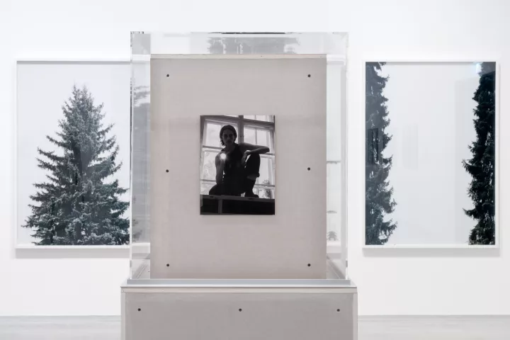 Ausstellungsansicht, Grünzeug / Pflanzen in der Fotografie der Gegenwart / Andrzej Steinbach, Stefanie Seufert Foto: Doku©dotgain.info Ausstellungsansicht, Grünzeug / Pflanzen in der Fotografie der Gegenwart / Andrzej Steinbach, Stefanie Seufert Foto: Doku©dotgain.info