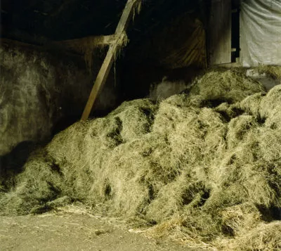 Heuhaufen, Neuschlag, 2009, aus der Serie HÖFE, analoger C-Print, 23,5 x 21cm, © VG Bildkunst, Bonn Heuhaufen, Neuschlag, 2009, aus der Serie HÖFE, analoger C-Print, 23,5 x 21cm, © VG Bildkunst, Bonn