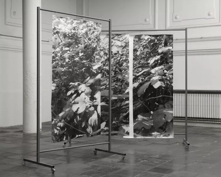 BERIT SCHNEIDEREIT placement I 2022 silver gelatin prints on baryta paper, mobile coated steel racks 250 x 225 x 75 cm and 250 x 150 x 75 cm Foto: Berit Schneidereit Courtesy COSAR, Düsseldorf BERIT SCHNEIDEREIT placement I 2022 silver gelatin prints on baryta paper, mobile coated steel racks 250 x 225 x 75 cm and 250 x 150 x 75 cm Foto: Berit Schneidereit Courtesy COSAR, Düsseldorf