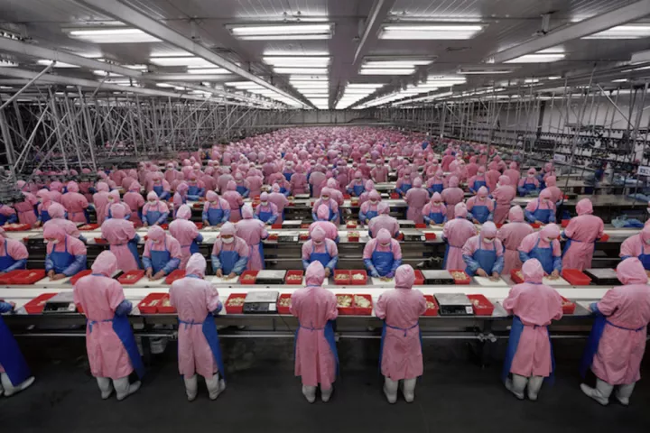 Edward Burtynsky, Manufacturing #17, Deda Chicken Processing Plant, Dehui City, Jilin Province, China, 2005 © Edward Burtynsky, courtesy of Flowers Gallery, London / Nicholas Metivier Gallery, Toronto Edward Burtynsky, Manufacturing #17, Deda Chicken Processing Plant, Dehui City, Jilin Province, China, 2005 © Edward Burtynsky, courtesy of Flowers Gallery, London / Nicholas Metivier Gallery, Toronto