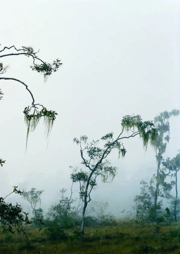 Axel Hütte, Cayo-1, Belize, 2008 © Axel Hütte, VG Bild-Kunst Bonn 2024