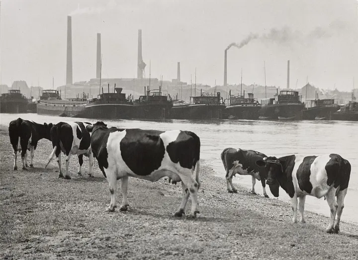 © Albert Renger-Patzsch Archiv / Ann und Jürgen Wilde, Zülpich / VG Bild-Kunst, Bonn, 2024 © Albert Renger-Patzsch Archiv / Ann und Jürgen Wilde, Zülpich / VG Bild-Kunst, Bonn, 2024