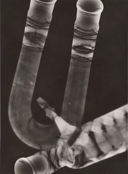 Théophile Ballmer | Laborspirale und U-Rohr (1930-1931) | Original-Fotogramm 23,7 x 17,3 cm (Unikat) Théophile Ballmer | Laborspirale und U-Rohr (1930-1931) | Original-Fotogramm 23,7 x 17,3 cm (Unikat)