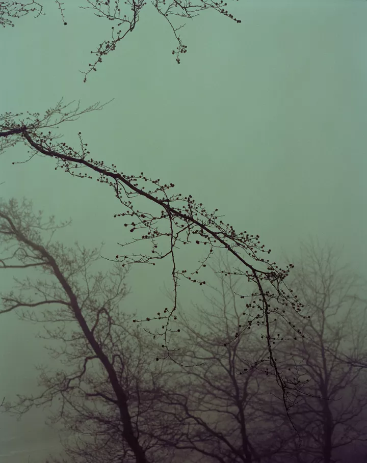 9746-05 201 - Paris, aus der Serie »Marselis« © Torben Eskerod, 2009
