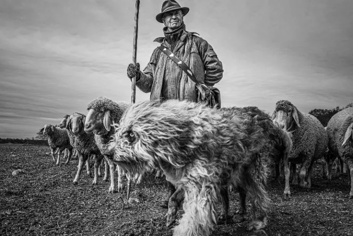 Ausstellung in der Leica Galerie Zingst: Hüteland mit Bildern von Martin Krüger © Martin Krüger Ausstellung in der Leica Galerie Zingst: Hüteland mit Bildern von Martin Krüger © Martin Krüger