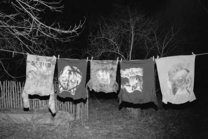© Maya Vieth, Während wir schlafen, ziehen Wölfe um die Häuser, 2023, Foto: www.guteaussichten.org © Maya Vieth, Während wir schlafen, ziehen Wölfe um die Häuser, 2023, Foto: www.guteaussichten.org