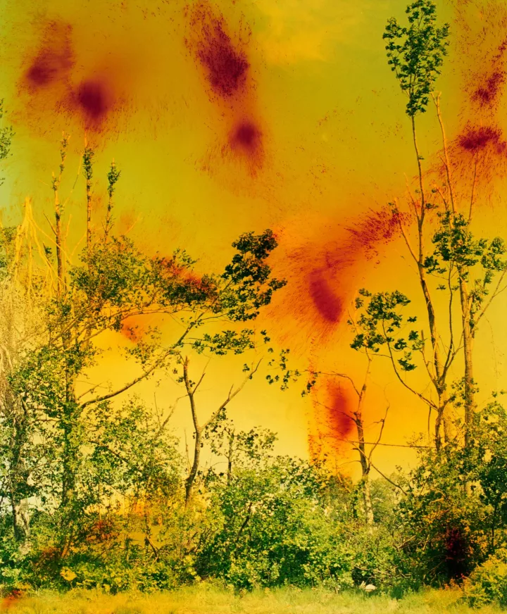Wolfgang Tillmans. Icestorm. 2001. © Wolfgang Tillmans, 2022. Image courtesy the artist; David Zwirner, New York/Hong Kong; Galerie Buchholz, Berlin/Cologne; Maureen Paley, London Skip to main content Use high-contrast text Plan your visit What’s on Art and artists Store Become a member Reserve timed tickets Wolfgang Tillmans To look without fear Through Jan 1, 2023 MoMA Reserve timed tickets Become a member Exhibition MoMA, Floor 6 The Steven and Alexandra Cohen Center for Special Exhibitions “The viewer...should enter my work through their own eyes, and their own lives,” the photographer Wolfgang Tillmans has said. An incisive observer and a creator of dazzling pictures, Tillmans has experimented for over three decades with what it means to engage the world through photography. Presenting the full breadth and depth of the artist’s career, Wolfgang Tillmans: To look without fear invites u Wolfgang Tillmans. Icestorm. 2001. © Wolfgang Tillmans, 2022. Image courtesy the artist; David Zwirner, New York/Hong Kong; Galerie Buchholz, Berlin/Cologne; Maureen Paley, London Skip to main content Use high-contrast text Plan your visit What’s on Art and artists Store Become a member Reserve timed tickets Wolfgang Tillmans To look without fear Through Jan 1, 2023 MoMA Reserve timed tickets Become a member Exhibition MoMA, Floor 6 The Steven and Alexandra Cohen Center for Special Exhibitions “The vi