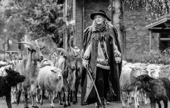 Die Wanderschäferin Käthe Kimmel zieht mit ihrer Herde durch das Dorf Bokel.