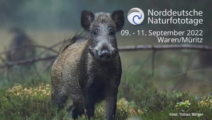 Flyer 2022 © Norddeutsche Naturfototage
