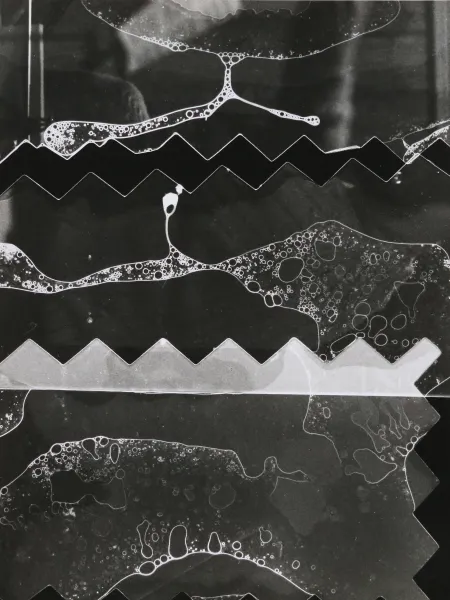 s/w: Silver Print von Ursel Jäger von 1965 ausgestellt im Showroom Simone Klein