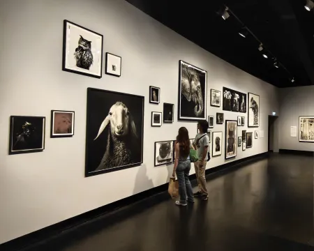 Ausstellung Walter Schels, C/O Berlin 