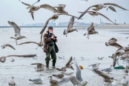 Der Fotograf und Galerist Rolf Nobel, ehemaliger Professor für Fotografie an der Hochschule Hannover und Direktor es Lumix Festivals für jungen Fotojournalismus. Hier bei den Fotoarbeiten für die Stern-Reportage über die Pferdefischer in Ostdünkirchen, Belgien, 2021. © Dirk Opitz