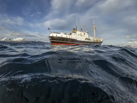 Das Mare-Schiff MS Cape Race vor den Gletschern Kronebreen und Kongsvegen im Kongsfjord an der Nordwestküste Spitzbergens.