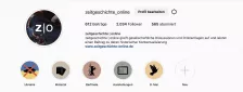 Startseite des Instagram-Accounts von zeitgeschichte|online