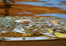 Die Fotografien von Corinna Rosteck folgen dem Bewegungsstrom, dem Fluidalen, Unsteten und Ephemeren und reflektieren ihre Bewegungen auf Wasserflächen, in Wolken und Luftströmen. Sie lauern ästhetischen Kräften auf, die Tanz und Fotografie verbinden. 