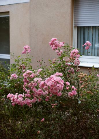 3. I Have Done Nothing Wrong © Mika Sperling