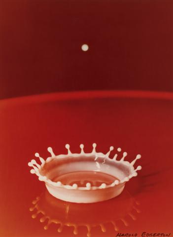 Harold Edgerton: Milchtropfen-Krone, 1957 © Estate of Harold Edgerton; courtesy Die Photographische Sammlung/SK Stiftung Kultur, Köln