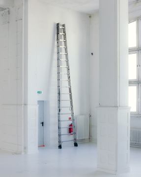 David Nils Müller. Söhne