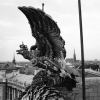 Christine de Grancy, Doppeladler auf der Neuen Burg, 1980 © Christine de Grancy