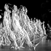 Janus Paare, Fine art print on metal ion Aludibond, © corinna rosteck, Enmsemble/Performance: Tanz_Kassel