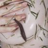  Maisie Cousins, slug, 2015 © Maisie Cousins, Courtesy TJ Boulting