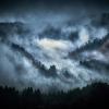 Yasuhiro Ogawa, Lost in Kyoto, Foggy Mountains, Japan, 2016