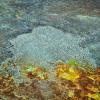 Sulfur Springs #2, Dallol, Danakil Depression, Ethiopia