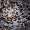 Thomas Brummett, Infinities #22 (For Riley), 2016, 100% rag paper printed (Hahnemühle Baryta Satin) with 100 year archival pigment, 91,5 x 117 cm, © Thomas Brummett / Courtesy of Galerie Karsten Greve Köln Paris St. Moritz 