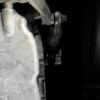Videostill: Dora Budor