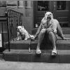 Elliott Erwitt, Bulldogs on stoop, 2000; © in focus Galerie - Burkhard Arnold